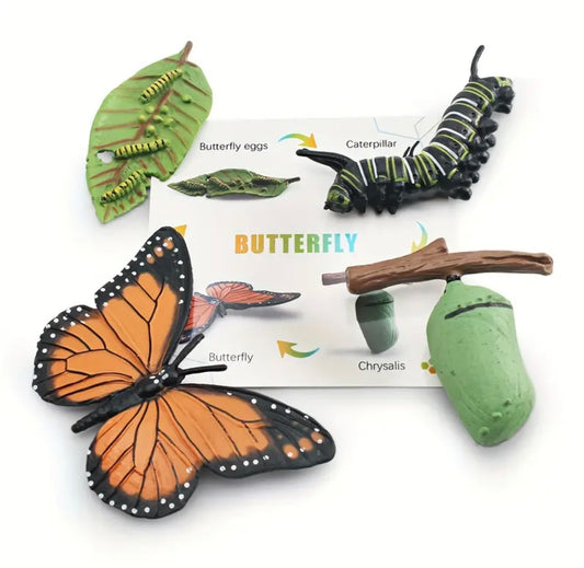 Butterfly Life Cycle Toy Figurines 4pcs with Learning Card