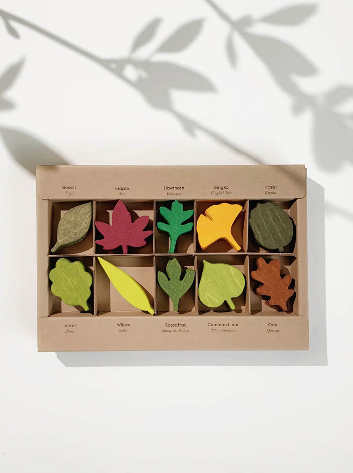 Wooden Leaves Set