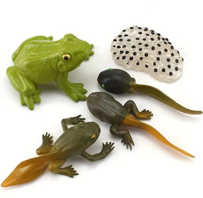 Frog Life Cycle Figurines 5pcs