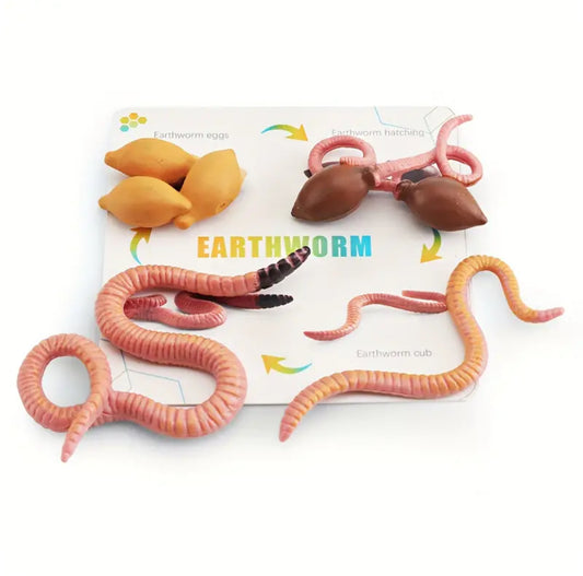 Earthworm LifeCycle Figurines 4pcs with Learning Card