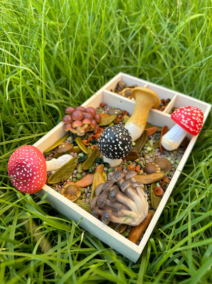 Realistic Mushroom Set (6pcs)