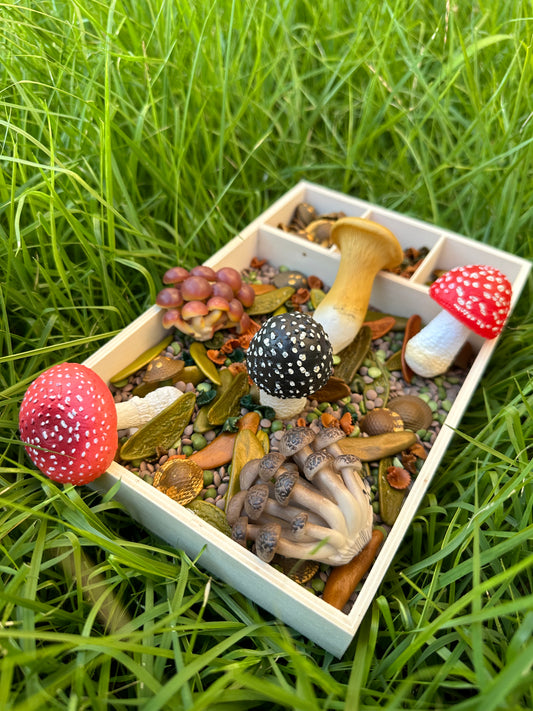 Realistic Mushroom Set (6pcs)