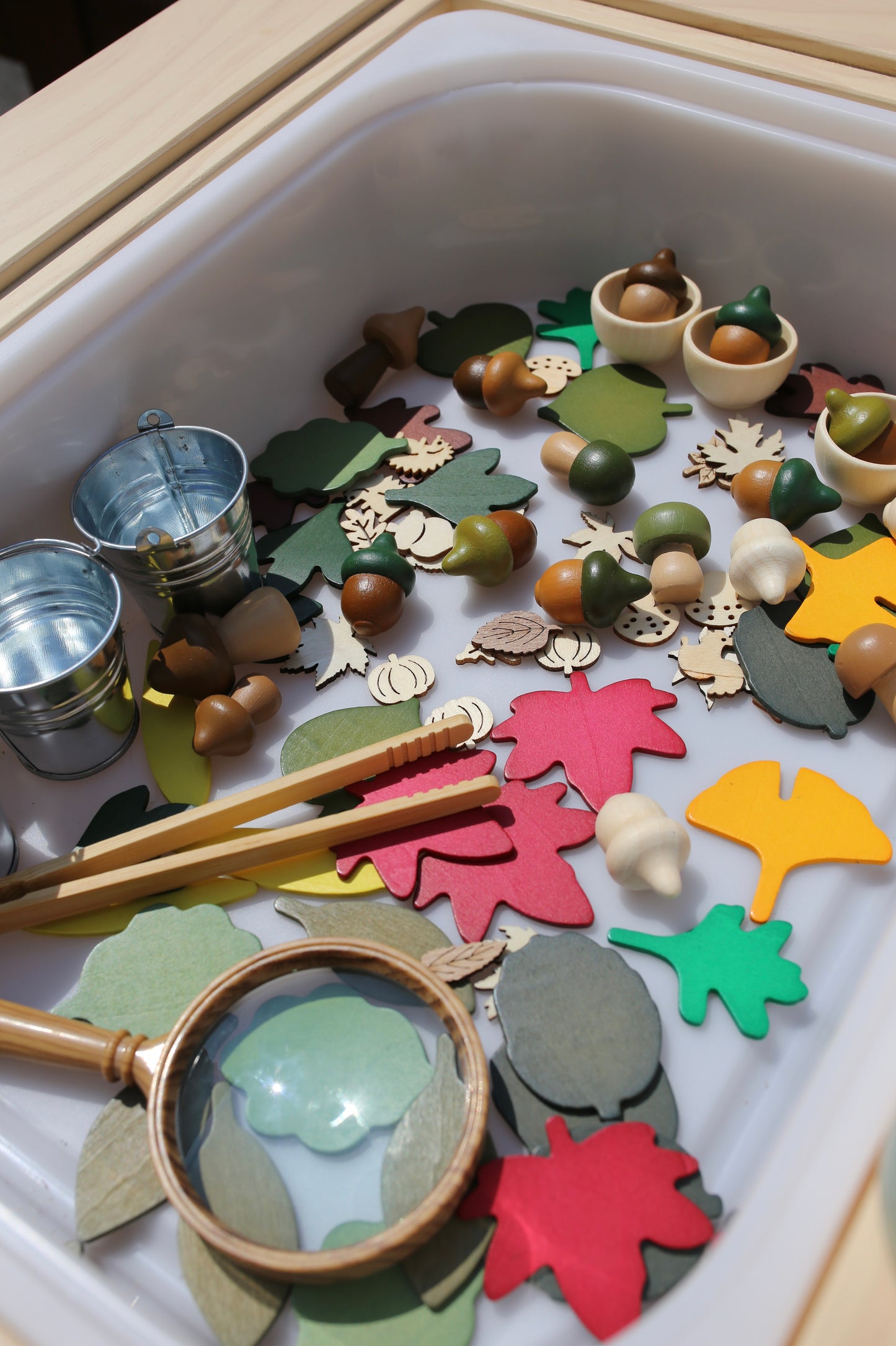 Autumn Wooden Treasures